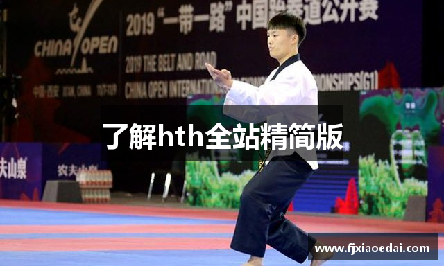 了解hth全站精简版